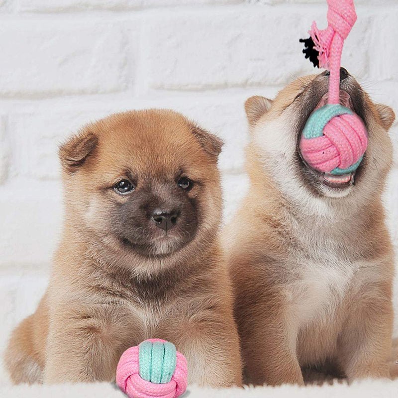Pet Dog Chew Toys - ItemBear.com