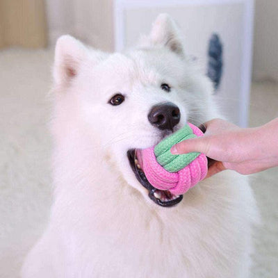 Pet Dog Chew Toys - ItemBear.com