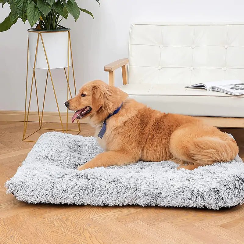 Plush Washable Dog Bed - ItemBear.com