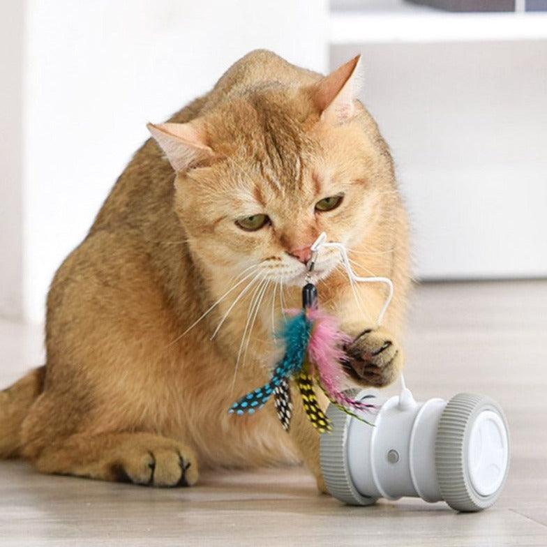 RoboRoller - Smart Runaway Cat Toy - ItemBear.com