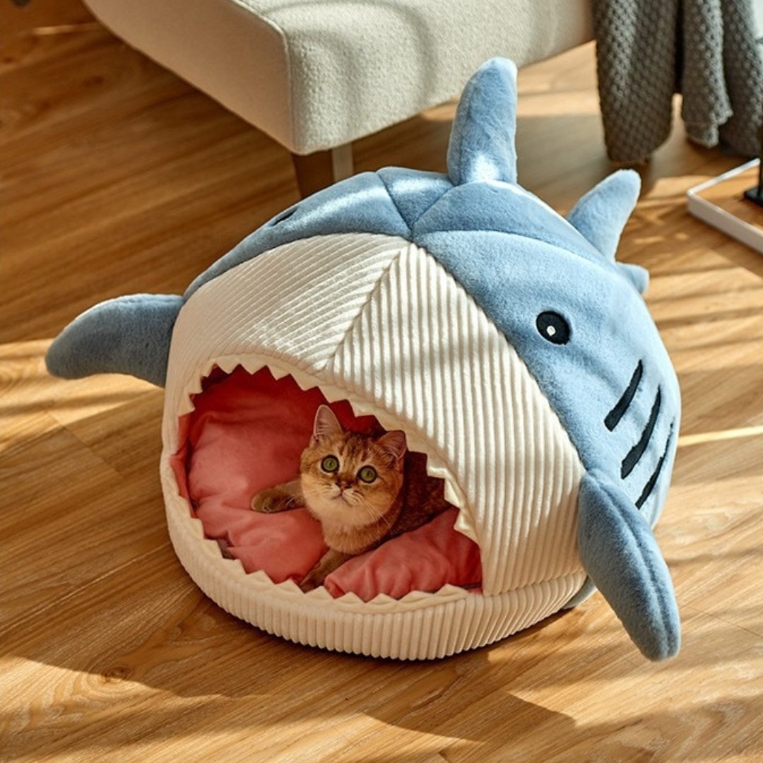 The Shark Pet Bed - ItemBear.com