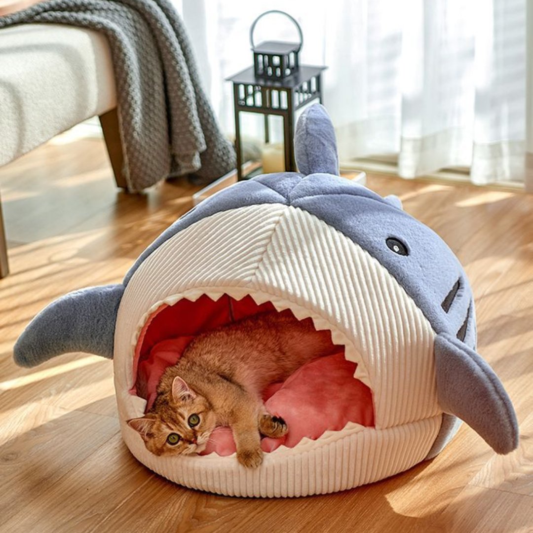 The Shark Pet Bed - ItemBear.com